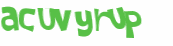 CAPTCHA 挑戰