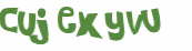 Wyzwanie captcha