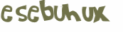 CAPTCHA-haaste
