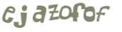 キャプチャ認証