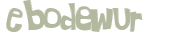 CAPTCHA 挑戰