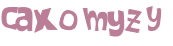 CAPTCHA 挑戰