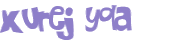 Desafio captcha