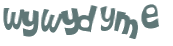 CAPTCHA 挑戰