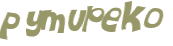 CAPTCHA 挑戰