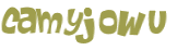 CAPTCHA-haaste
