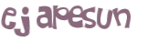 Captcha 챌린지