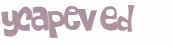 Wyzwanie captcha