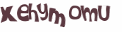 CAPTCHA 挑戰