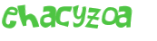 CAPTCHA 挑戰
