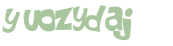 Captcha-Test