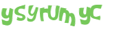 Captcha 챌린지