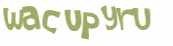 CAPTCHA 挑戰