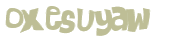 CAPTCHA 挑戰