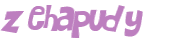 Captcha 챌린지
