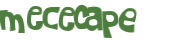 Captcha挑战
