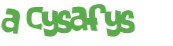 CAPTCHA 挑戰