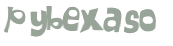 CAPTCHA 挑戰