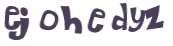 CAPTCHA 挑戰