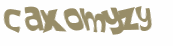 CAPTCHA 挑戰