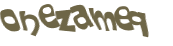 Wyzwanie captcha