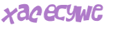 CAPTCHA 挑戰