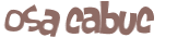 Captcha-Test