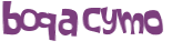 CAPTCHA 挑戰