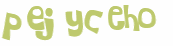 Captcha 챌린지