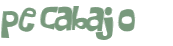 Wyzwanie captcha