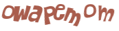 CAPTCHA 挑戰