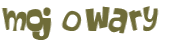 Wyzwanie captcha