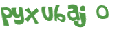 CAPTCHA 挑戰