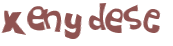 CAPTCHA 挑戰