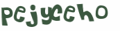 Captcha 챌린지
