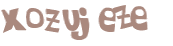 Captcha 챌린지