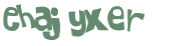 CAPTCHA 挑戰