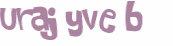キャプチャ認証