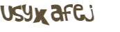 CAPTCHA 挑戰
