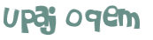 Captcha 챌린지