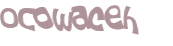 CAPTCHA 挑戰