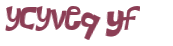 CAPTCHA 挑戰