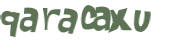 CAPTCHA 挑戰