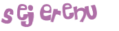 Captcha-Test