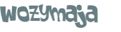Wyzwanie captcha