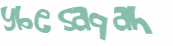 CAPTCHA 挑戰