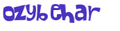 Captcha 챌린지