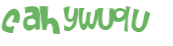 Wyzwanie captcha