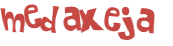 Wyzwanie captcha