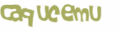 Captcha 챌린지